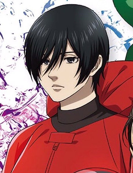 Mikasa Ackerman X MAPPA's Style.