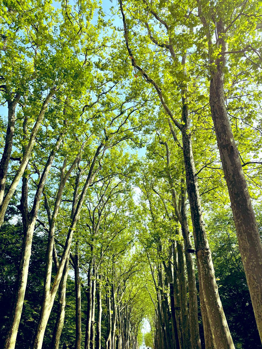 Delphine Boesel tweet media