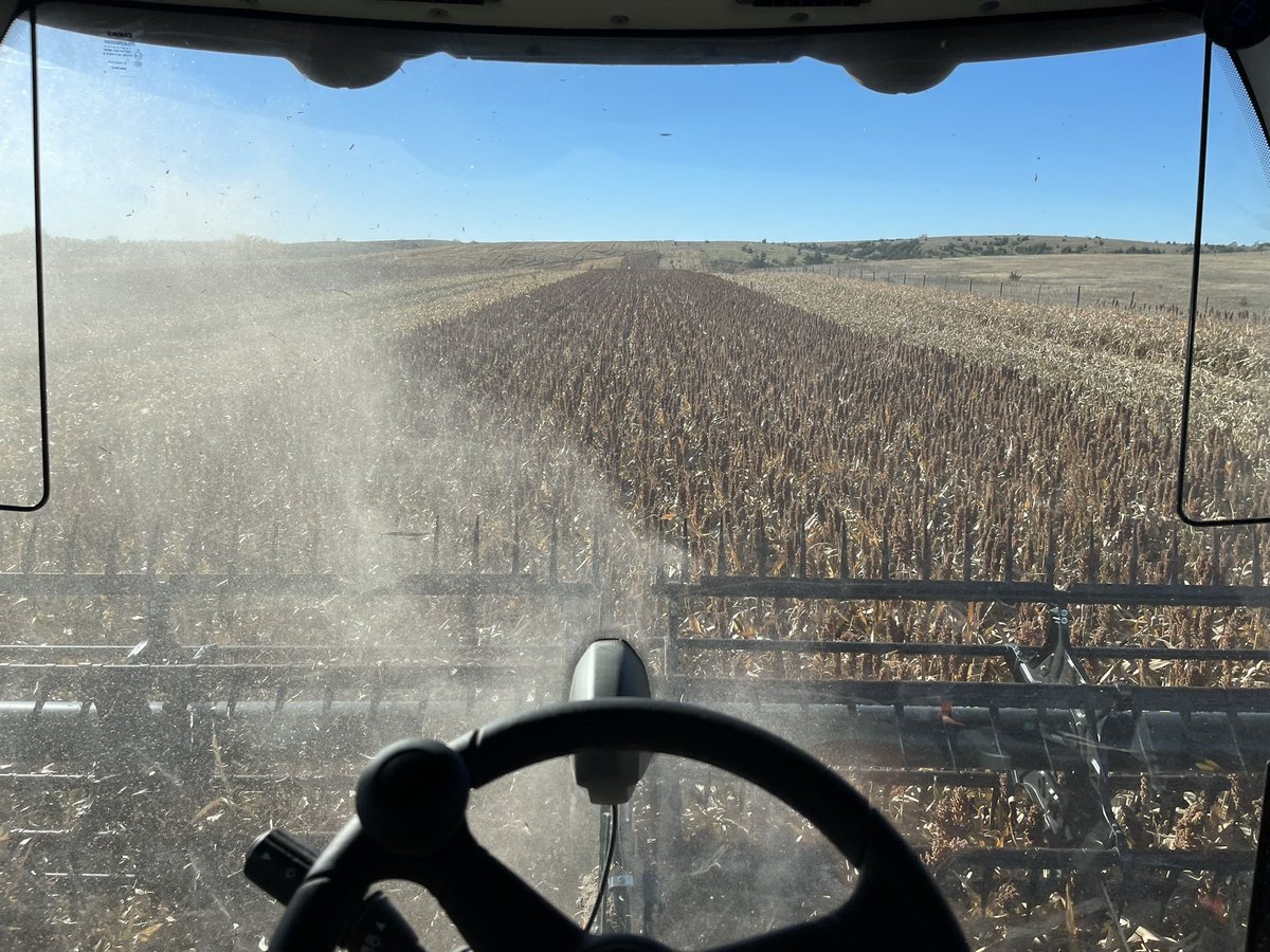 Thanks Nebraska Harvest Center <a href="/CLAAS_America/">CLAAS North America</a> <a href="/TyWallgren/">Ty Wallgren 🌾🌽🏈🇺🇸</a> for letting us demo a 1380 Convio Flex Draper over the weekend. We mowed through some soybeans and Milo with her. <a href="/CodyHarms07/">Cody Harms</a>