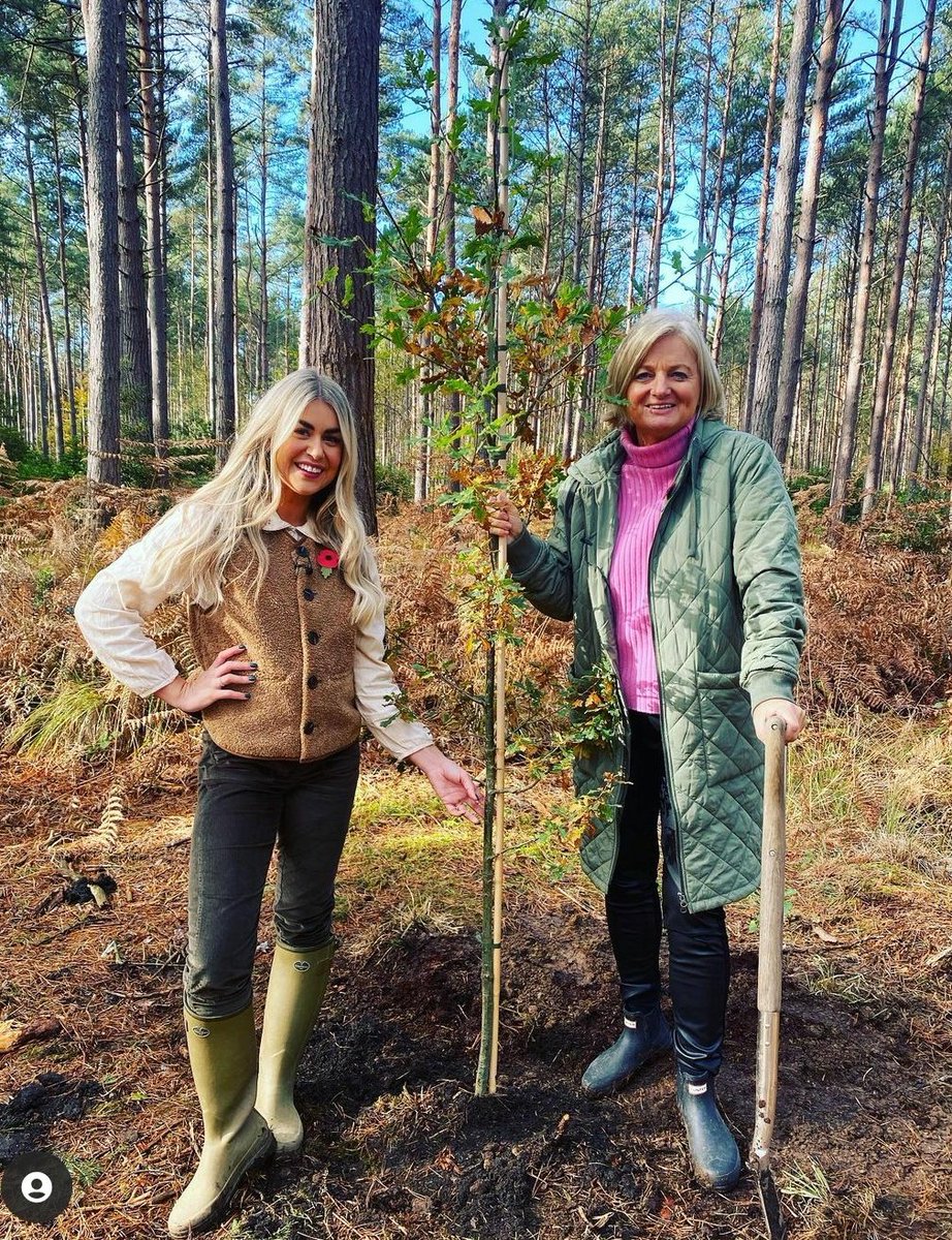 IP Broadcast TV tweet media