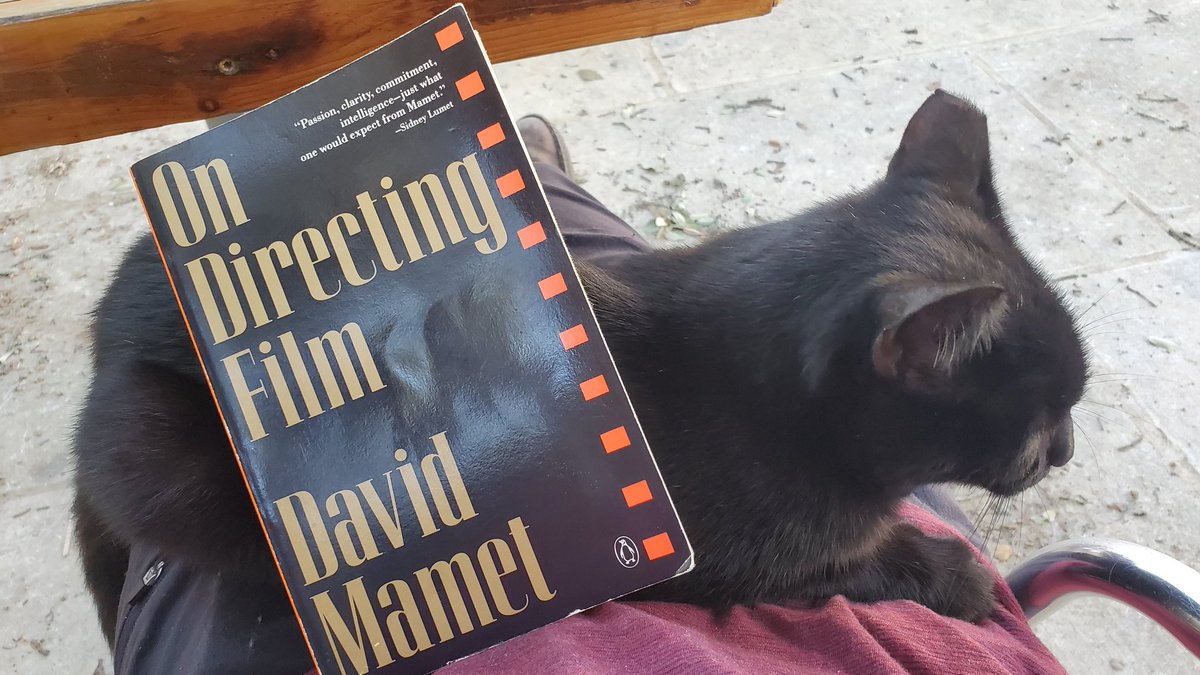 LarenGrey's tweet photo. I'm a fan of the blunt brilliance of David Mamet.
#film #filmmaking #davidmamet #cat #blackcat
@DavidMamet https://t.co/qIanhN6TK2