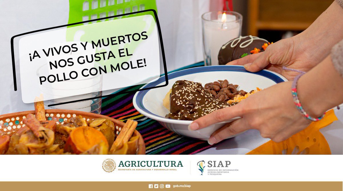 DGSIAP_Mx's tweet photo. #México es el sexto productor mundial de pollo. La producción nacional en 2019 fue de 3 millones 476 mil 622 toneladas. 

#HéroesDeLaAlimentación #DelCampoATuMesa #DíaDeMuertos #NuestraRiqueza https://t.co/LWF1YEg4Wv