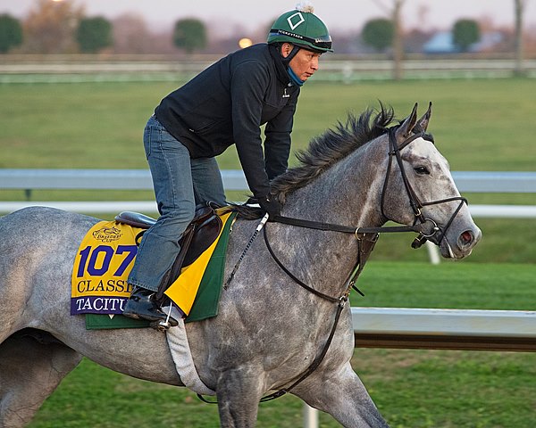 BloodHorse's tweet photo. ALERT: Tacitus to Enter Stud at Taylor Made Stallions https://t.co/q54PSVAo43 https://t.co/5OTl0PdZop