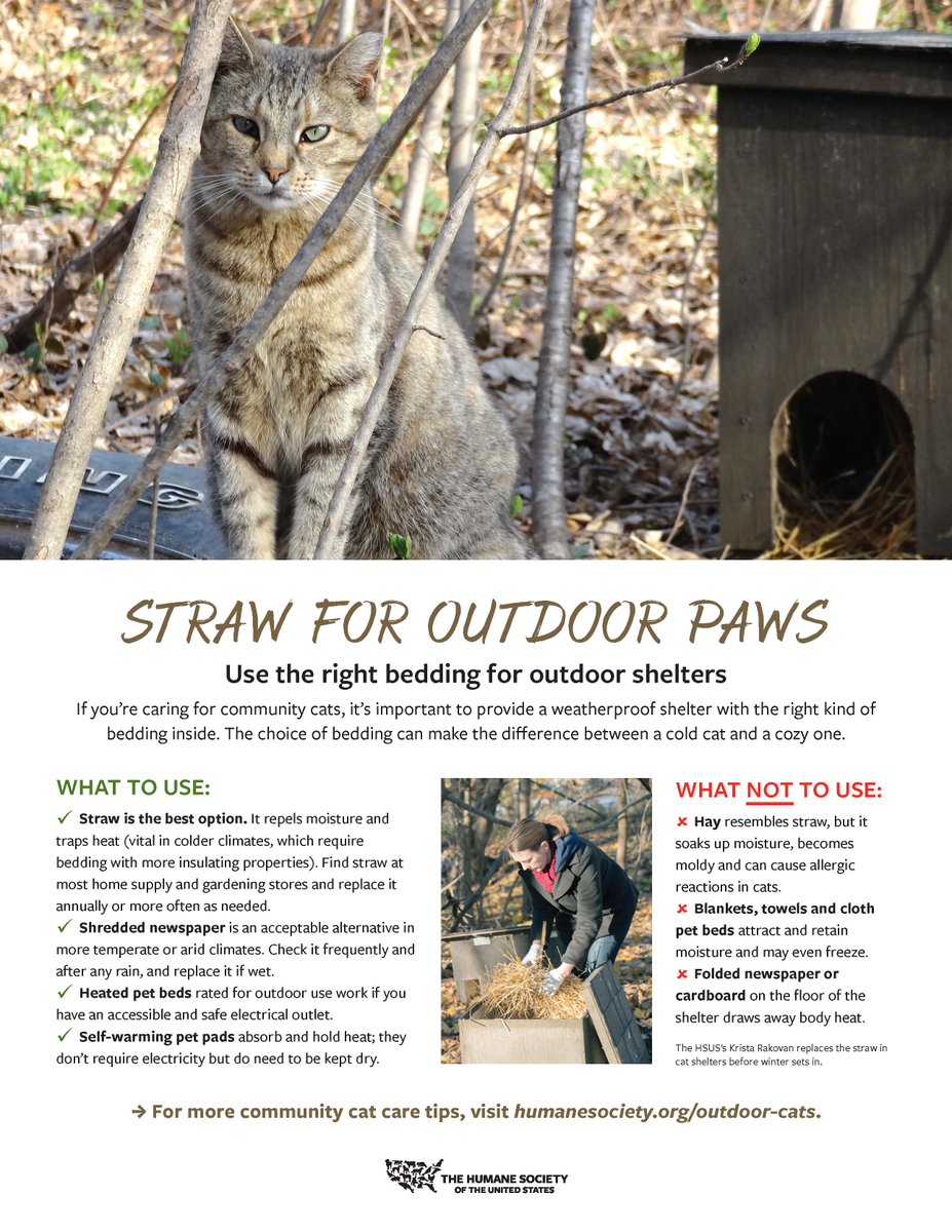 Hay and straw may look alike, but your choice of shelter bedding can make the difference between a cold cat and a cozy one.🥶 Share or download our fact sheet at the link! #StrawForOutdoorPaws
ow.ly/WNqZ50GCxGL