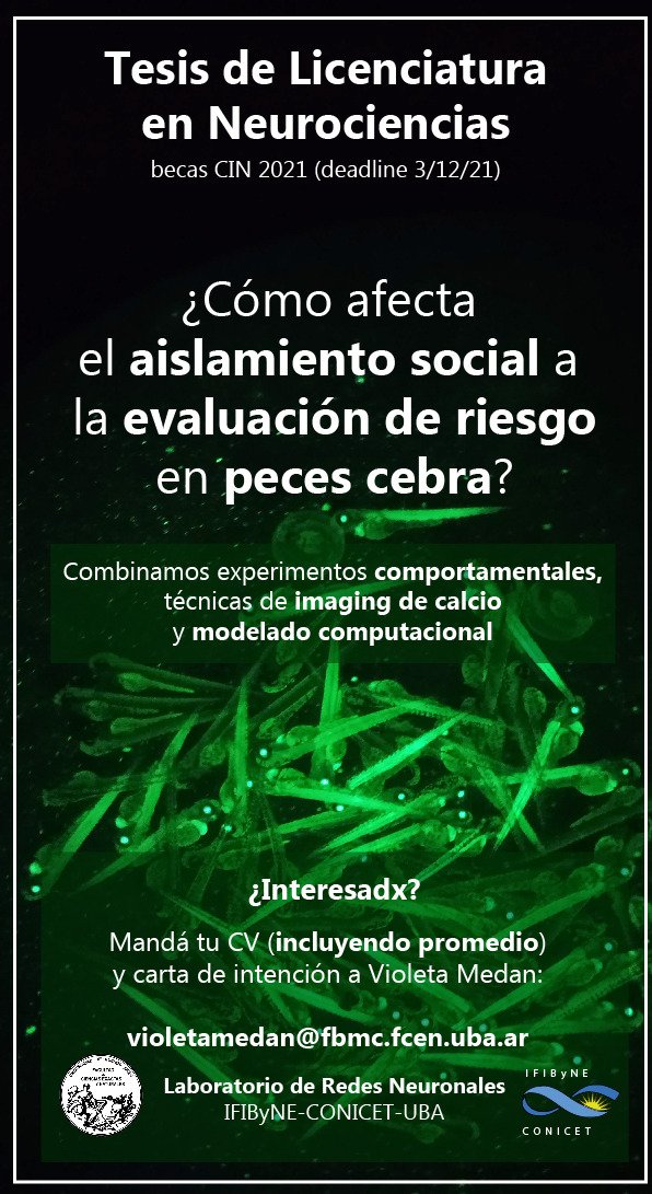 MedanVioleta's tweet photo. Interesades en trabajar en Neurociencias y zebrafish? Info acá👇 https://t.co/P4apqWD8sY