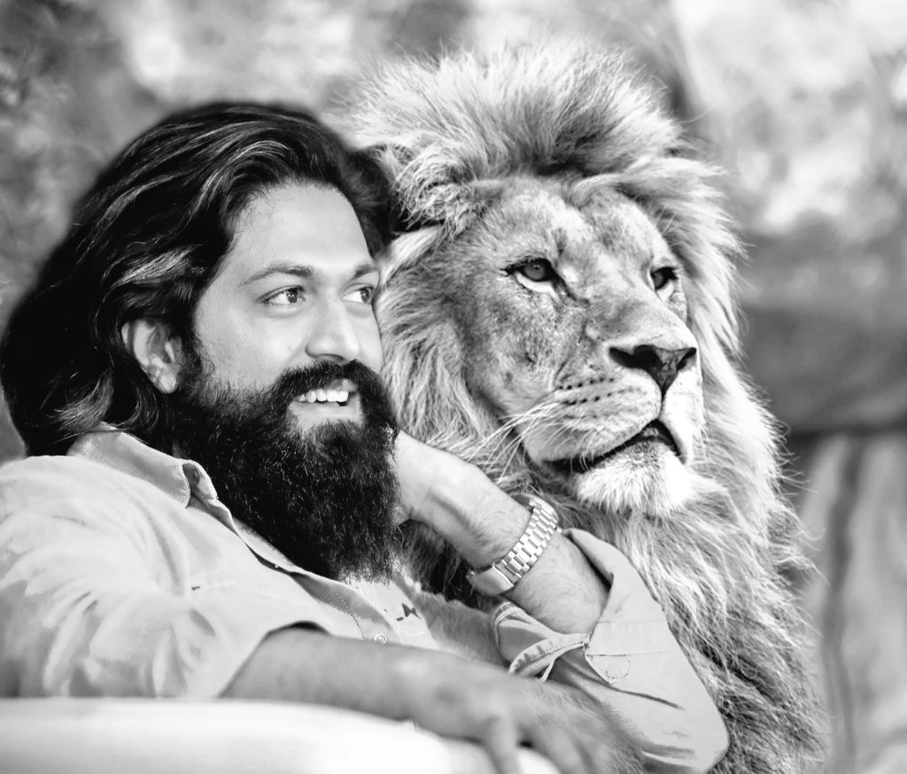 YashCult_Jk's tweet photo. @rvcjmovies #YashBOSS #KGFChapter2
@TheNameIsYash https://t.co/9R9oCPWnda