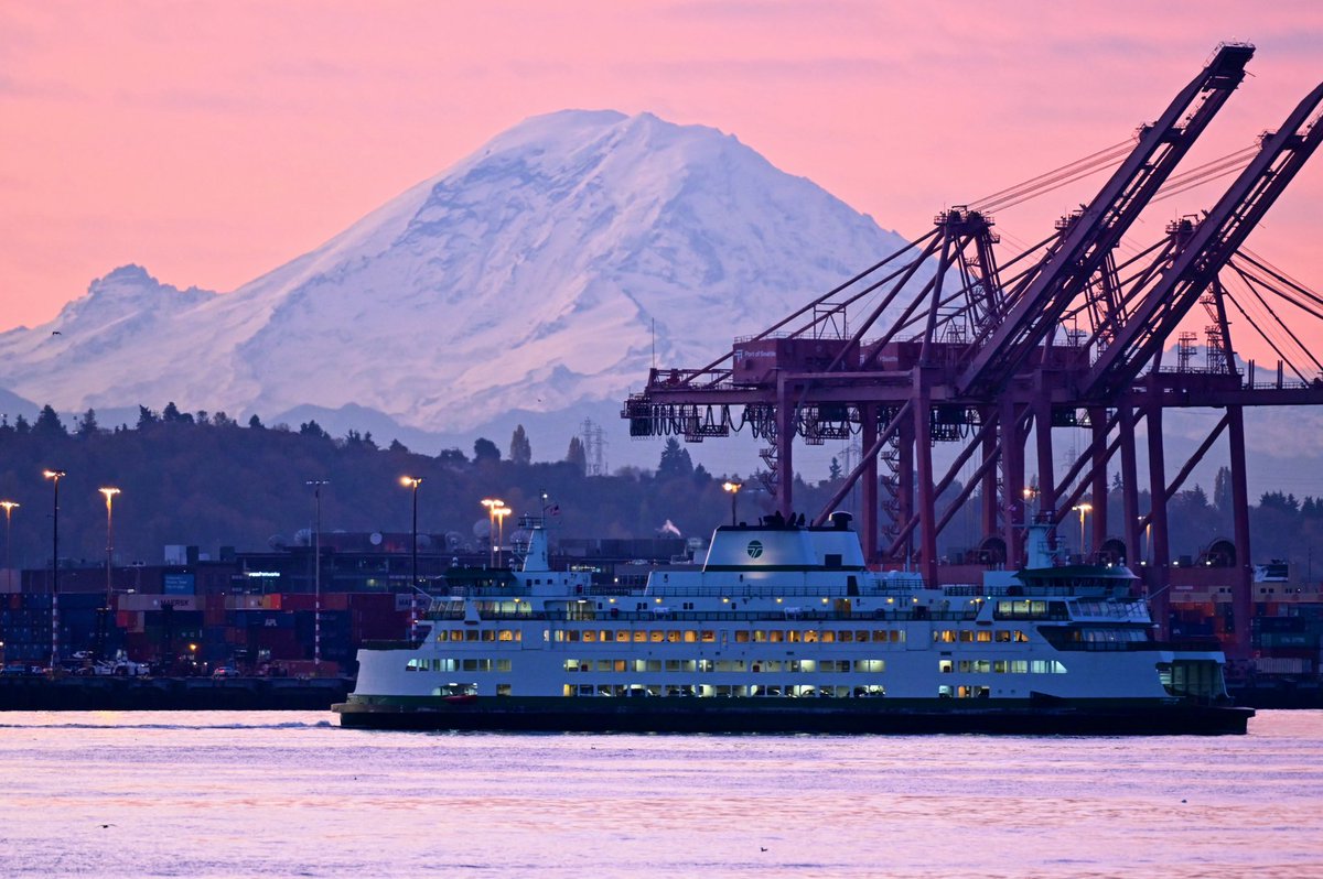 Scott Meis tweet media