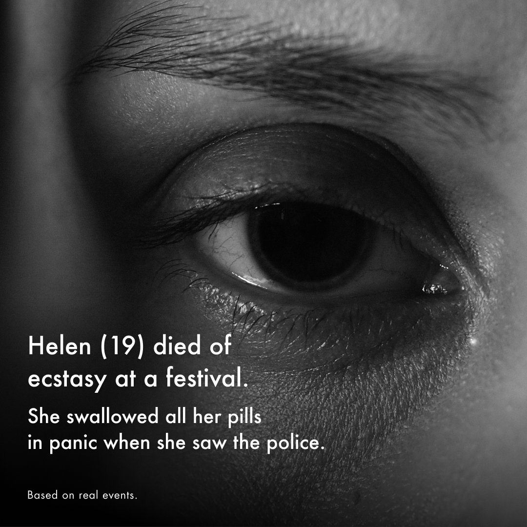 Steve Rolles tweet media