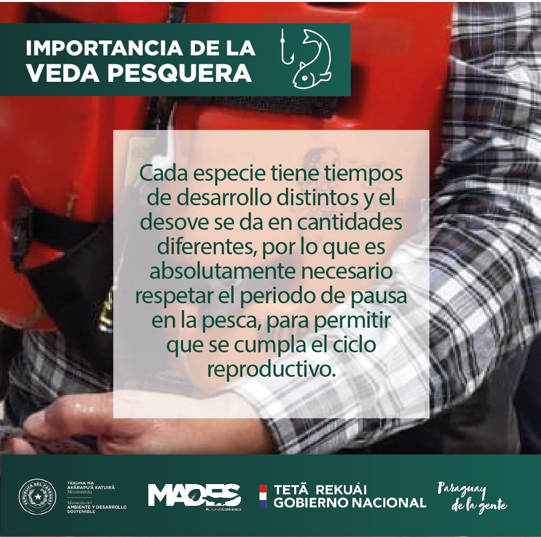 mambiente_py's tweet photo. Importancia de Veda Pesquera para la conservación del ecosistema https://t.co/a0rTrsUrQc @arieloviedo @ABCDigital @LaNacionPy @Universo970py @SomosGEN https://t.co/rZtAwJ0bxw