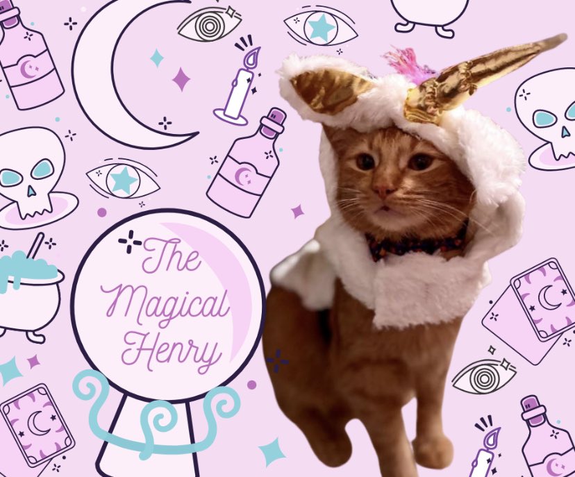 JayLeaWrites's tweet photo. Happy adoption day to SHIP! He has been duly spoiled with a 67” cat tree & treats. Here’s a photo of his Halloween costume and being a lazy boy. #Spoiled #AdoptionDay #AdoptDontShop #SHIPCat #UnicornKitty https://t.co/QsSHJsITsf
