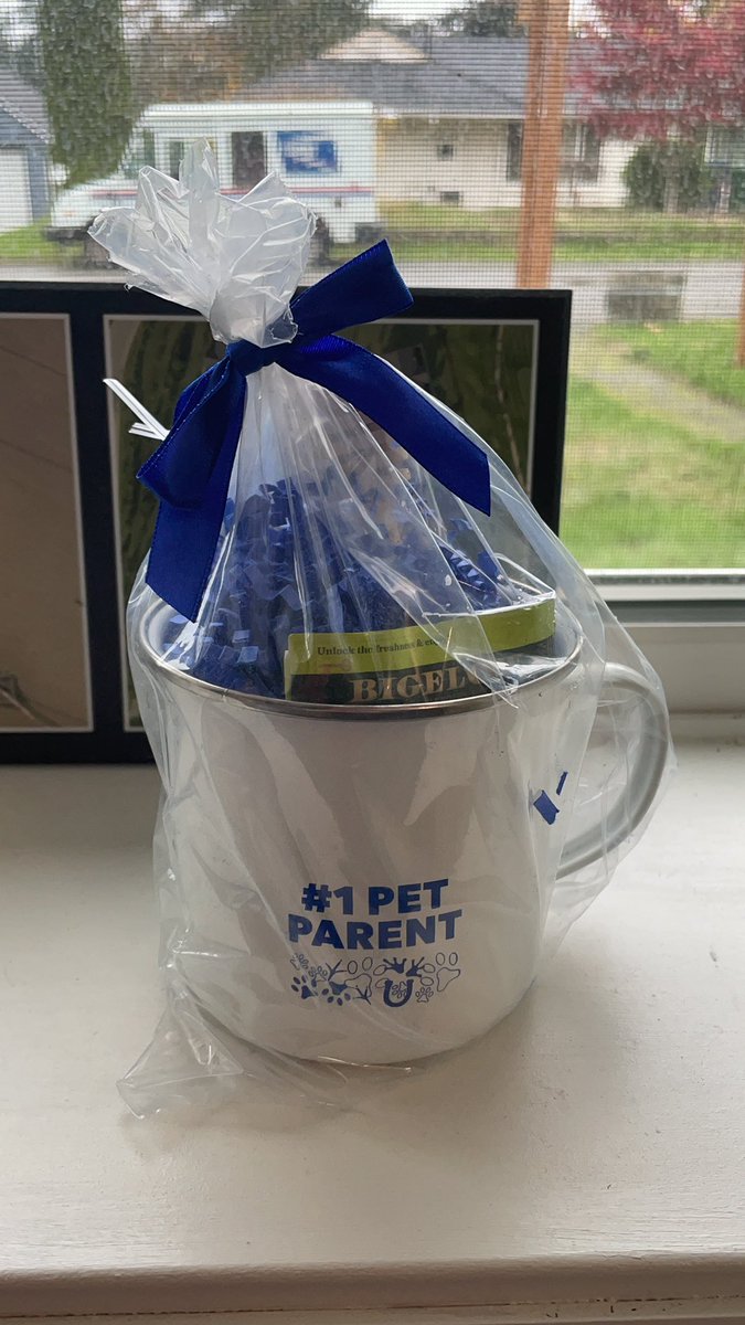 animckeev's tweet photo. Wow, our of all their customers, @Chewy has chosen me as #1 Pet Parent! #ThankyouIAccept #winner #bestpetparent #dogmom #customerforlife https://t.co/jAeWz99Pjc