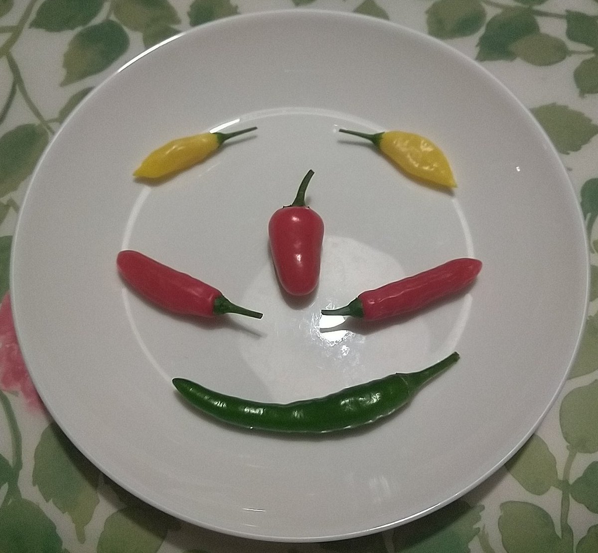 越冬鉢 Twitter Search Twitter 越冬鉢 Twitter Search Twitter