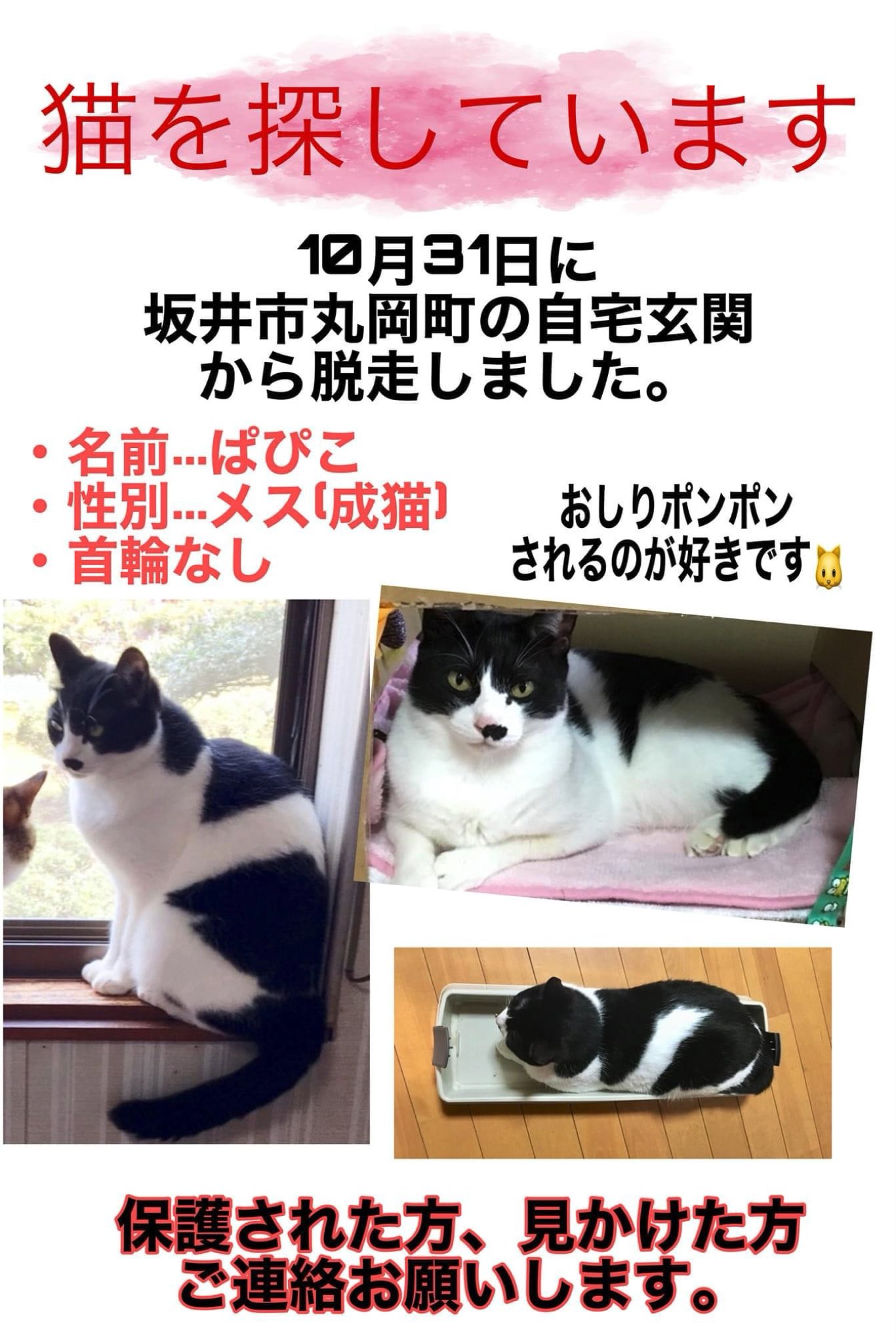 マイケル確保しました ありがとうございました Abkhi7tsy9yq3ib Twitter