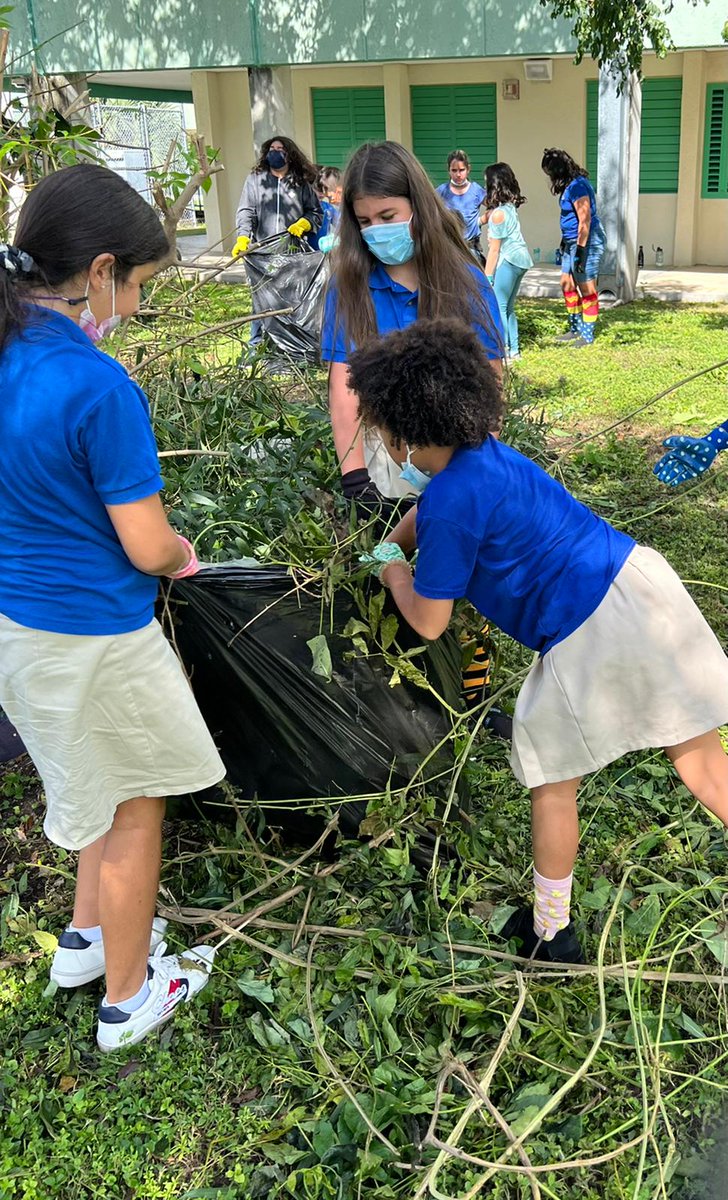 Oliver Hoover ES tweet media