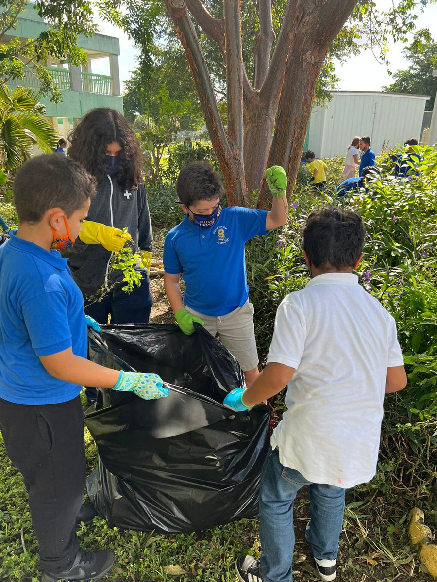 Oliver Hoover ES tweet media