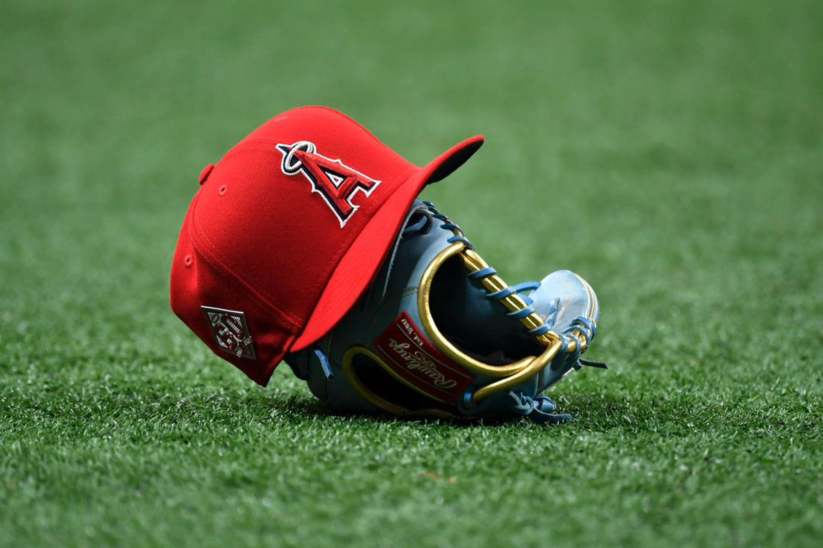 Ross Vecchio tweet media