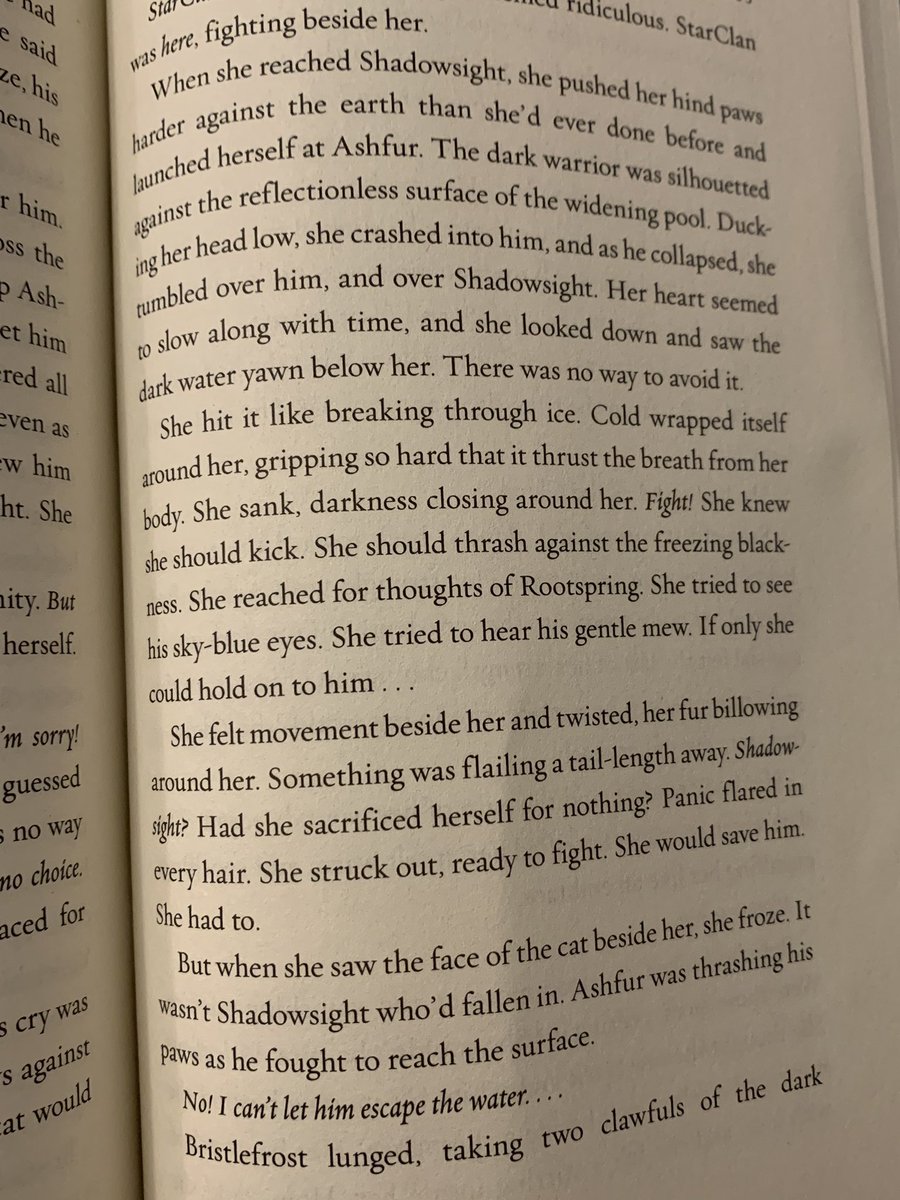 The_KingKas's tweet photo. MAJOR ALITM SPOILER!!!!
Major character death!!
,,,,,,,,,,,,,,,,!!!!
#alitm #alightinthemistspoilers #warriorcats #ashfur #bristlefrost https://t.co/yxgF98iC9L
