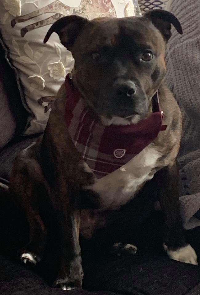 Scouse-Jambo tweet media