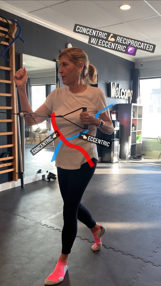 SAFunctionalFit's tweet image. Muscle function through all the ⛓’s