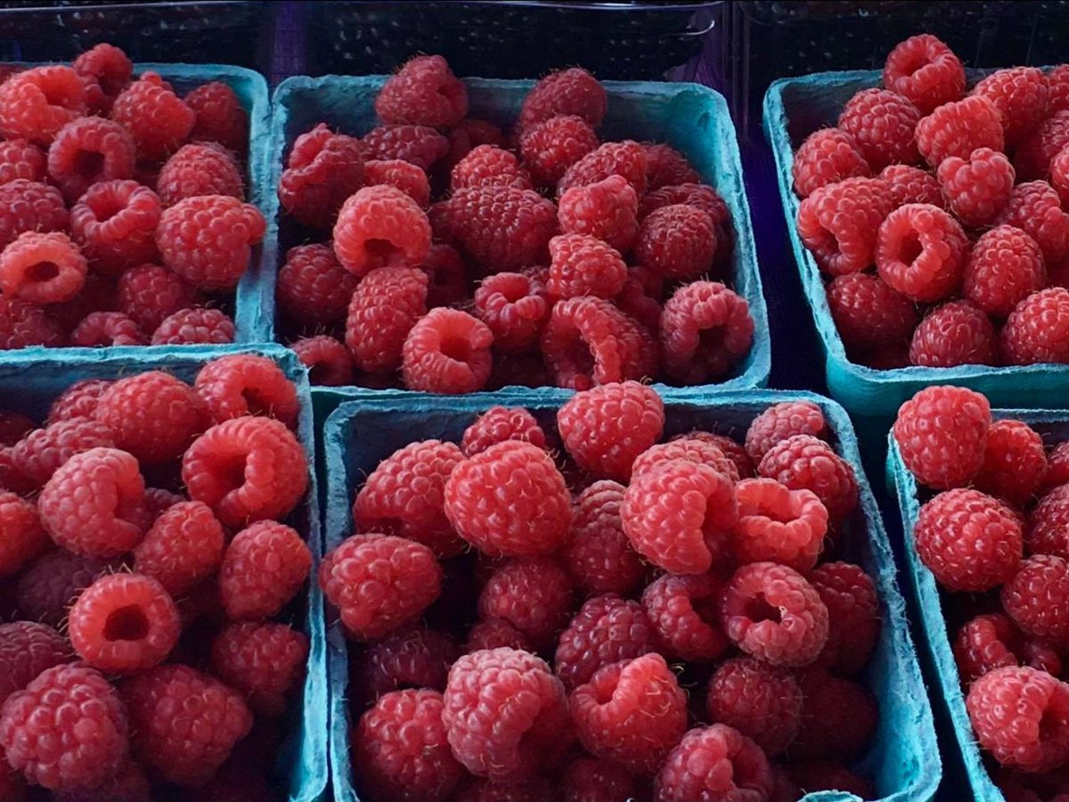 Agriberry Farm tweet media