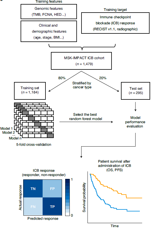 Timothy Chan tweet media