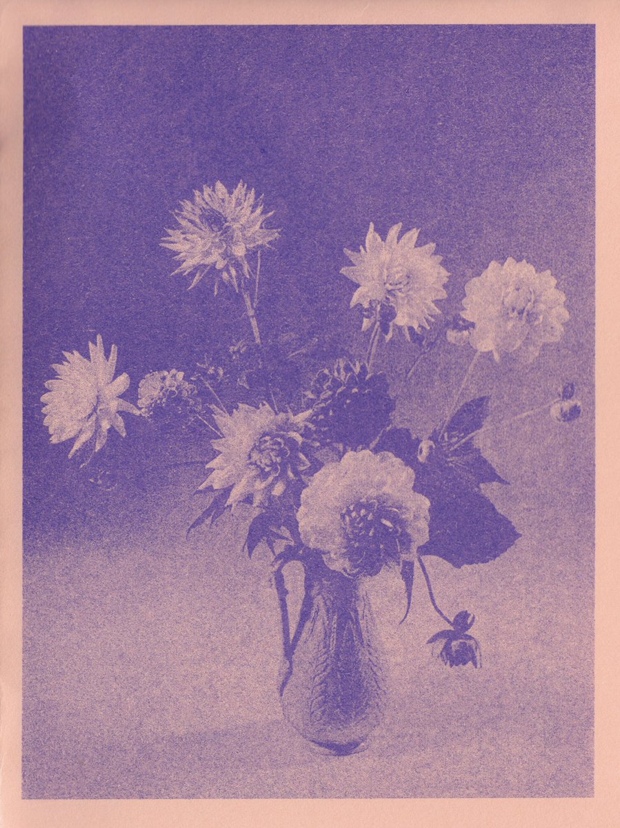 eolhcsheppard's tweet photo. Risograph prints from last week https://t.co/BiyNbhMpGR
