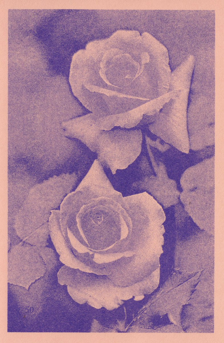 eolhcsheppard's tweet photo. Risograph prints from last week https://t.co/BiyNbhMpGR