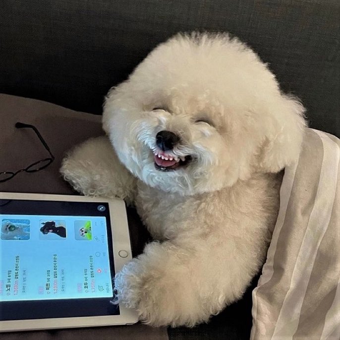 Image of this social media content