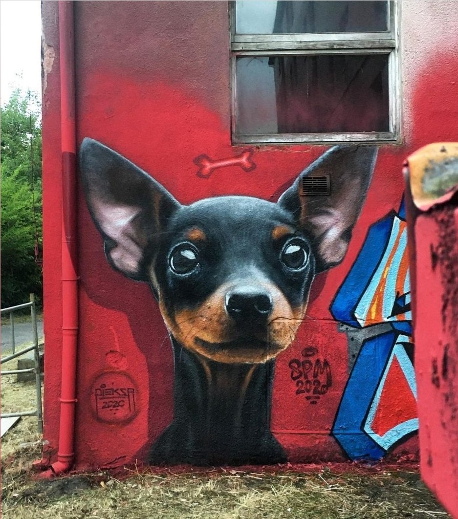 MolinaStreetArt's tweet photo. Art by Polish Pieksa in Czeladź, Poland (2020) #pieksa #czeladz #streetart #lamolinastreetart 📷 via artist https://t.co/2cliES4cUa https://t.co/QUyVFDVtE6