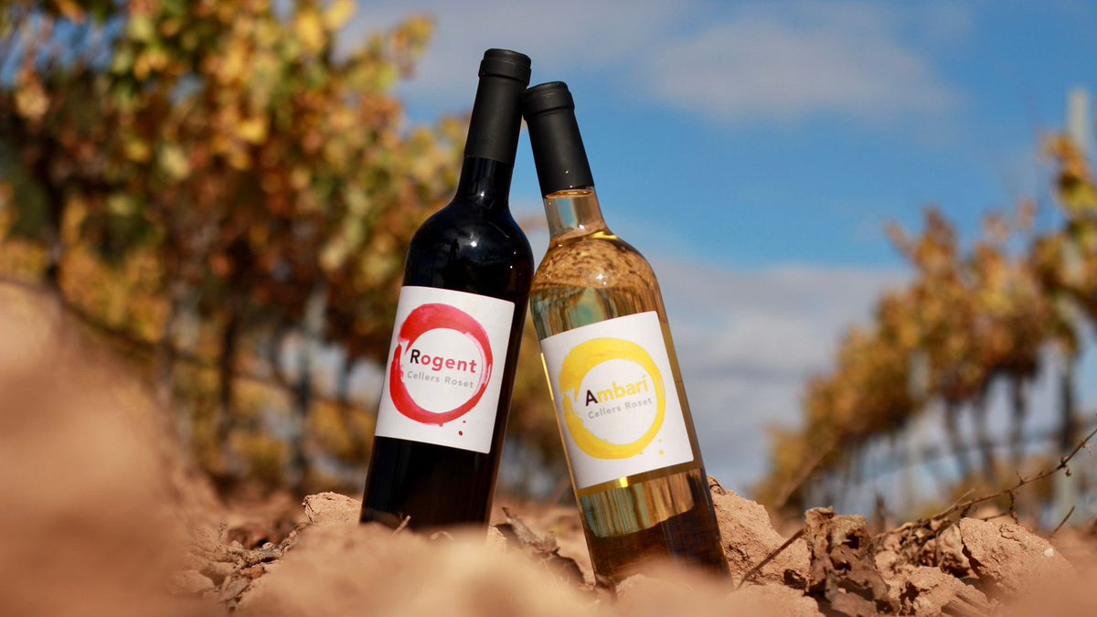 SentSoviBcn's tweet photo. Vins 🍷 DO Conca del Barberà.
@PremisVinari 🥇🥉millor vi jove.
Consum de qualitat i compromès amb Catalunya ‼️‼️
#SentSovibcn únic distribuïdor autoritzat per a Barcelona (Arc de Triomf)
DM per comandes, preus especials a restauració.
🚛 domicili x caixes. https://t.co/gK2bDCzSCo