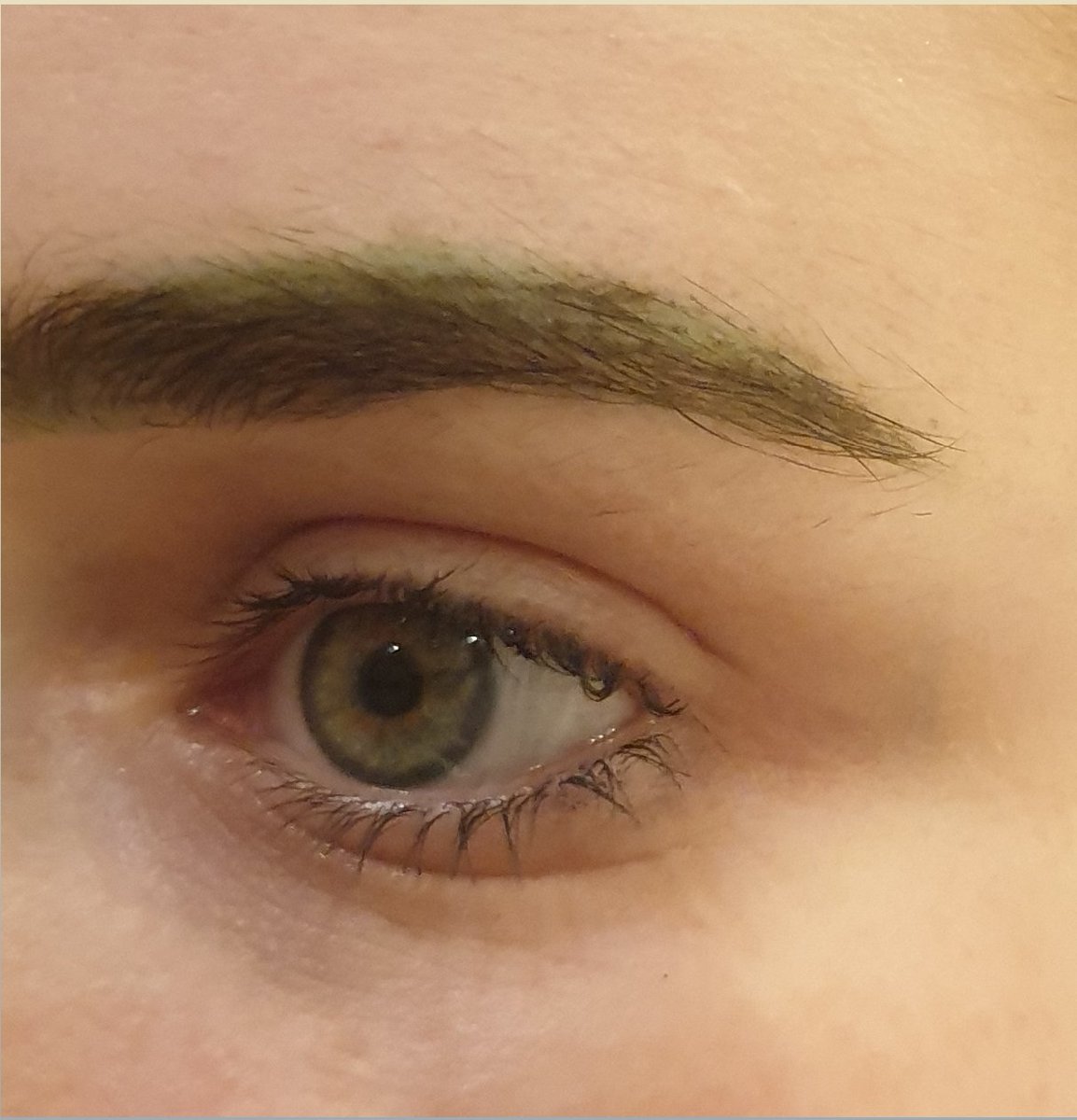 gamberra_'s tweet photo. What in the fresh hell @NYXCosmetics_UK... my eyebrows have been GREEN all day.

You call this 'caramel'!? Rude. https://t.co/qTBqFLRmRX
