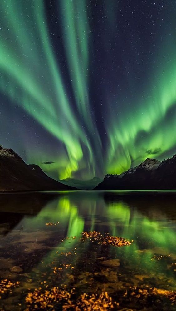 Good night to all 💚🌌
