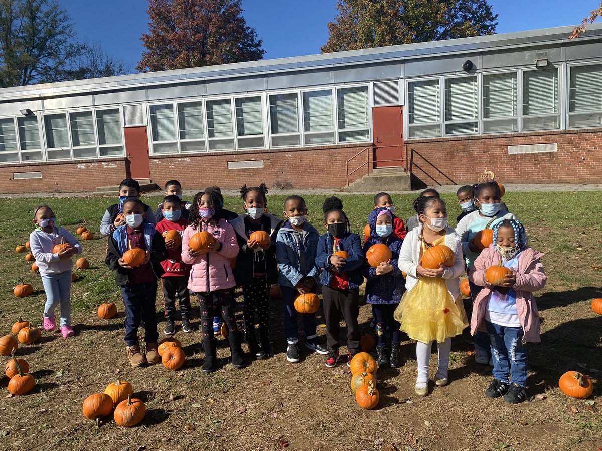 Ms_Deloatch's tweet photo. A great pumpkin patch day for Kindergarten! #cutestpumpkinsatthebranch https://t.co/U9XvT2MAH0