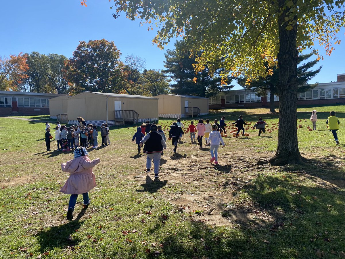 Ms_Deloatch's tweet photo. A great pumpkin patch day for Kindergarten! #cutestpumpkinsatthebranch https://t.co/U9XvT2MAH0