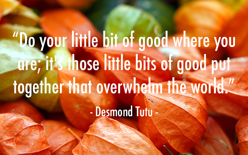 YMCA Blue Water Area tweet media