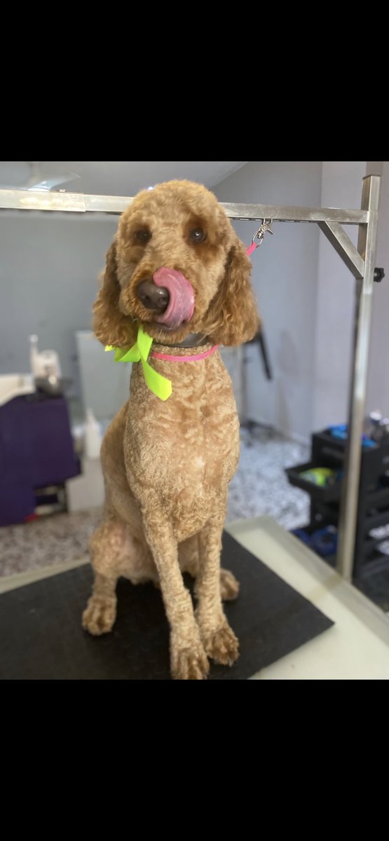 LUFC SID tweet media