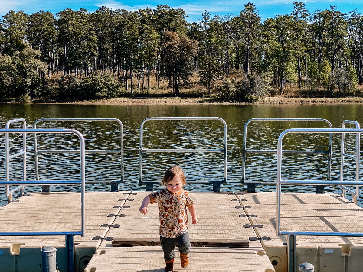 shiref0lk's tweet photo. Lake zoomies with my mini 🥰 https://t.co/ofA2IteS26