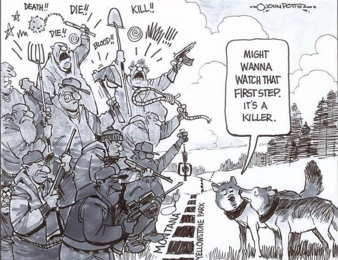 NameAndShameHTH's tweet photo. #RelistWolves
#wolf haters are stalking,trapping, snaring, maiming, & killing a #keystoneSpecies NOW!
These fudds are hungry for the blood of wolves.
#standforwolves
#fuddfinders #huntthehunters #funkill #banhunting #bantrapping #pathology #AnimalCruelty #AnimalLiberation #vegan https://t.co/gDx2iMo5LL