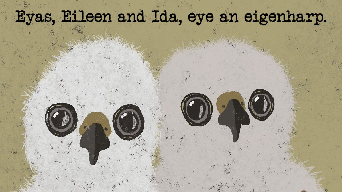 Dean_Shar's tweet photo. @animalalphabets challenge prompt this week is the eigenharp! A bit hard to see, but it's there - if you look into their eyes you’ll see a reflection of the eigenharp! 😜 These little cuties are Ridgeway Hawk eyas (chicks) and are sadly critically endangered. #animalalphabets https://t.co/SWfFl4JYqP