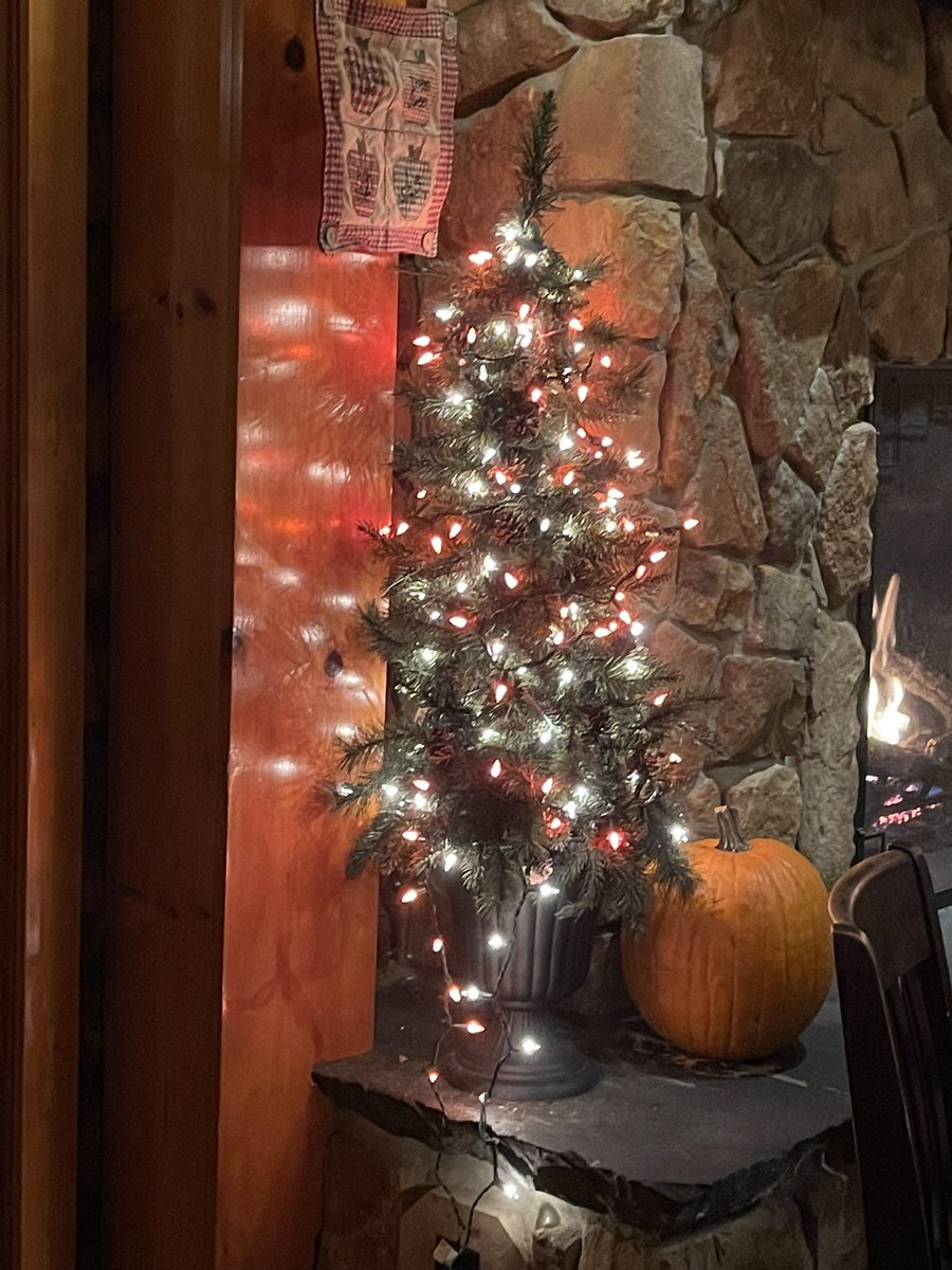 trickorreadath1's tweet photo. #trickorreadathon Thank you to everyone who participated in Trick-or-Readathon 2021!!! 🎃😀 I had a lot of fun and I’m looking forward to next year! 🎃👻🍁 https://t.co/pTApcRr5V0