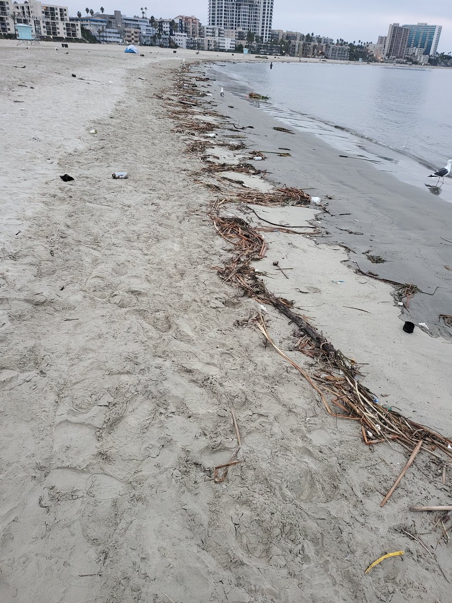 KingLAmar's tweet photo. My favorite city! What's going on with the beach? Trash and needles everywhere! @LongBeachCity @LongBeachMayor https://t.co/ZIjbUWONXH