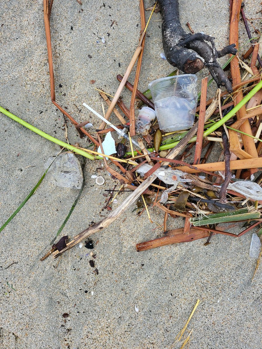 KingLAmar's tweet photo. My favorite city! What's going on with the beach? Trash and needles everywhere! @LongBeachCity @LongBeachMayor https://t.co/ZIjbUWONXH