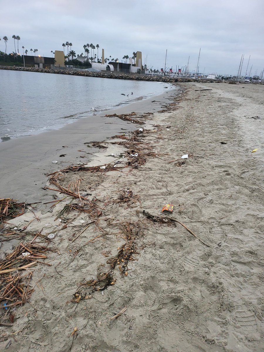 KingLAmar's tweet photo. My favorite city! What's going on with the beach? Trash and needles everywhere! @LongBeachCity @LongBeachMayor https://t.co/ZIjbUWONXH