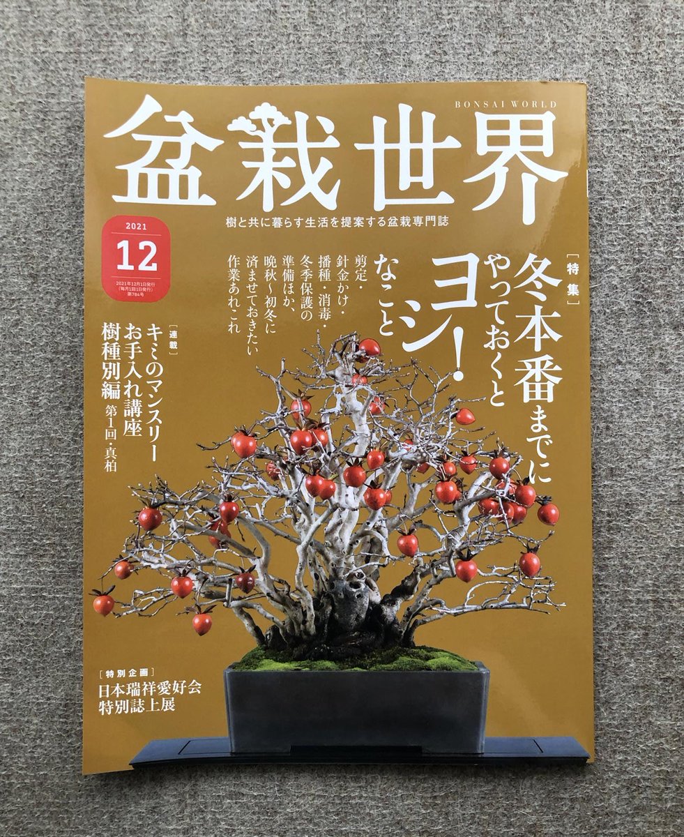 【盆栽世界12月号予告】
樹と共に暮らす生活を提案する盆栽専門誌『盆栽世界』最新号は11/4(木)発売!
今回の #水やる は読めない、書けない、覚えられない、そんな初心者あるあるな盆栽用語についてです。
本誌特集は「冬本番までにやっておくとヨシ!なこと」。指差し確認する猫の幻が… 