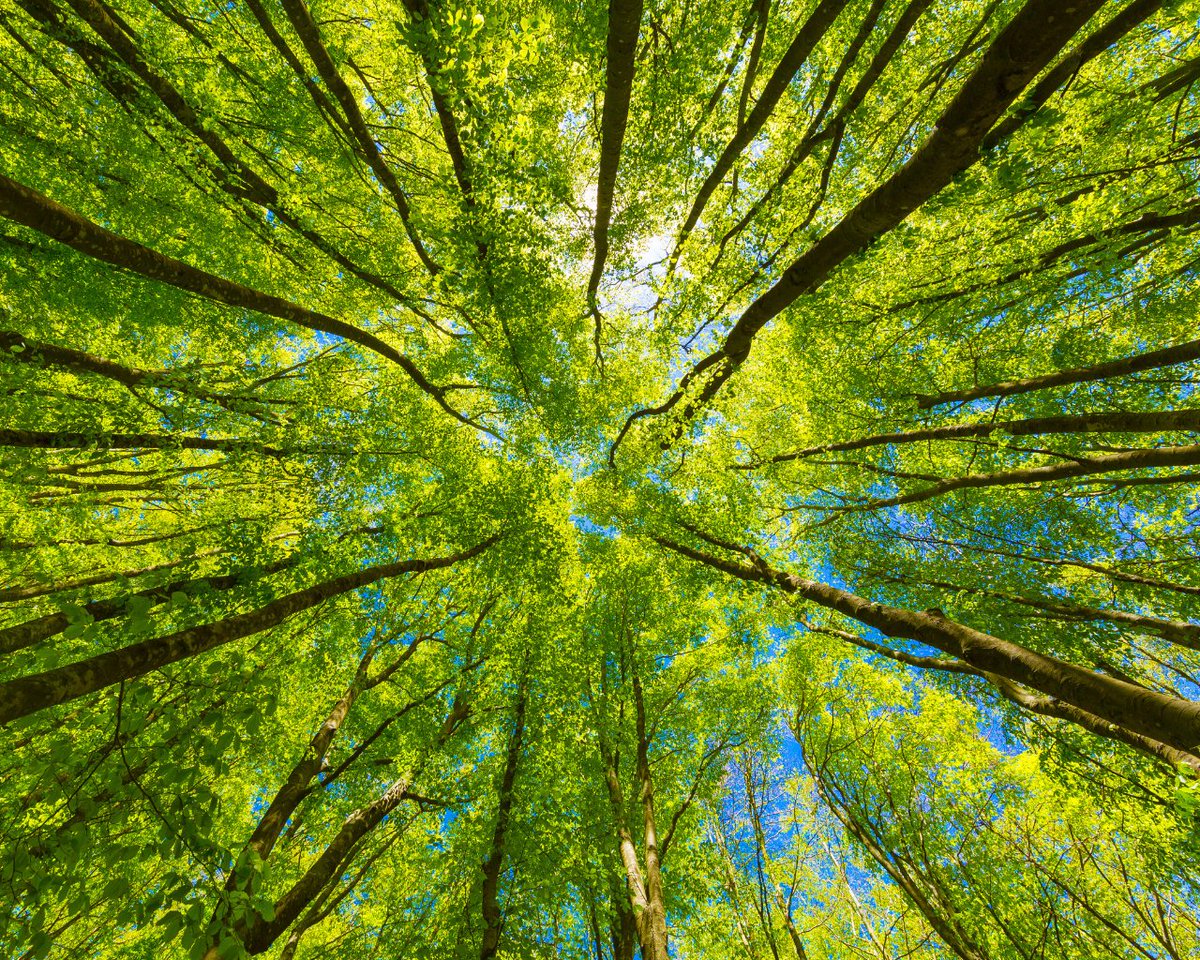 Freeman is proud to participate in the Net Zero Carbon Events Pledge and have our very own CEO, Bob Priest-Heck in attendance alongside key event industry leaders as part of the UN Climate Change Conference COP26 on November 10, 2021. Session details: bit.ly/3nN89sH