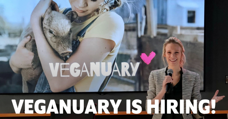 WE'RE HIRING! ✨ Veganuary is looking for a talented Chief of Staff to join our growing international team and support us in our mission to create a better world for humans and animals alike. Find out more and apply here - charityjob.co.uk/jobs/view/7827…