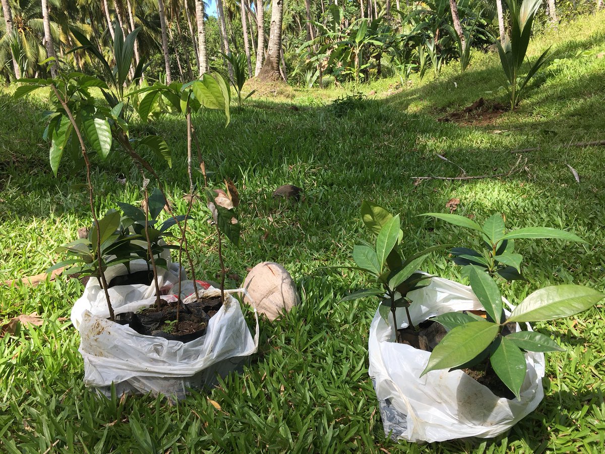 ygorpablito's tweet photo. Pabukid kay mag plant og coconut and some fruit bearing trees maka happy https://t.co/CV1UGGSkfq