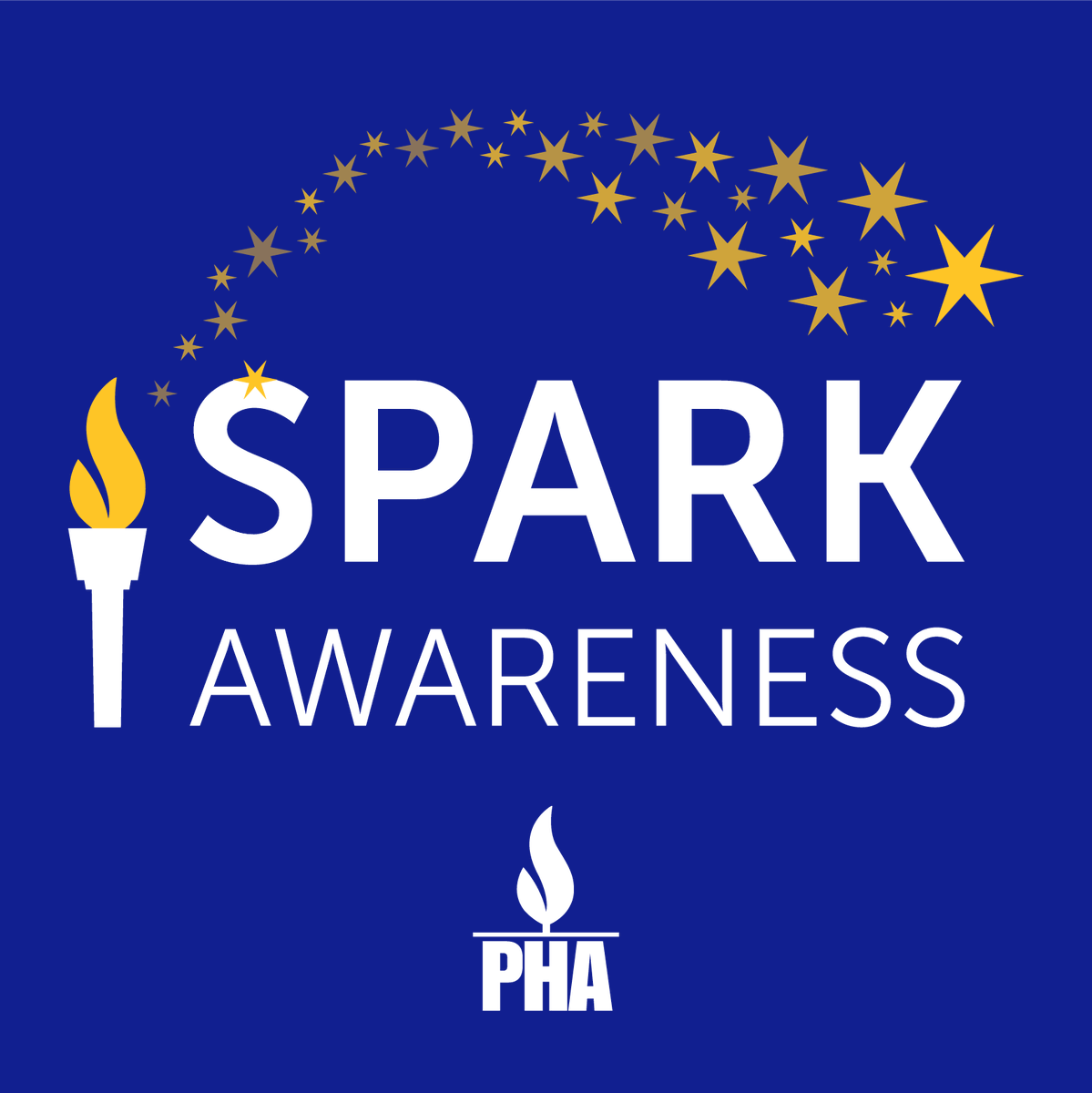 PHAssociation's tweet photo. #SparkAwareness all month long during Pulmonary Hypertension Awareness Month. Visit PHA’s #PHAwarenessMonth toolkit to update your social media profile with cover & profile photos & sample social media posts. https://t.co/17pvRpt5vn #PHA30 https://t.co/m5jdjGYP4e