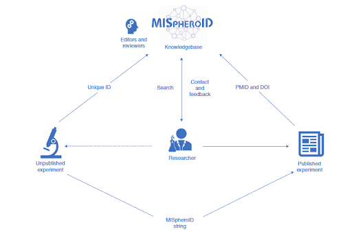 naturemethods's tweet photo. MISpheroID, a tool and knowledgebase to promote reproducibility and transparency in the reporting of spheroid research by the team of @o_dewever.
OA paper: https://t.co/w04jxBAFgK https://t.co/tEaZmmPrwQ