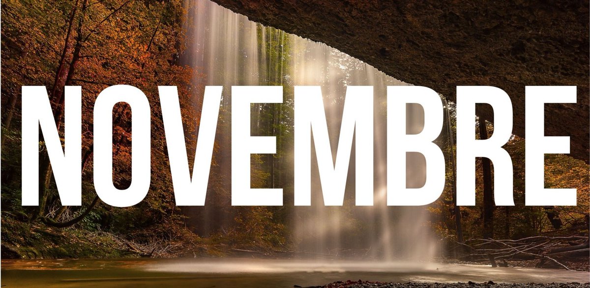 leevensvilme's tweet photo. Vin ogmante followers ou pou mwa novanm nan 🔥🔥🔥

Follow @cheedou 
Follow @cheedou 
Follow @cheedou

1k💫
2k💫💫
3k💫💫💫
4k💫💫💫💫
5k💫💫💫💫💫
6k💫💫💫💫💫💫
7k💫💫💫💫💫💫💫
8k💫💫💫💫💫💫💫💫

Like, RT epi lage username ou nan kòmantè.
Follow tout moun ki like

Let's go https://t.co/bey3wnh7oH